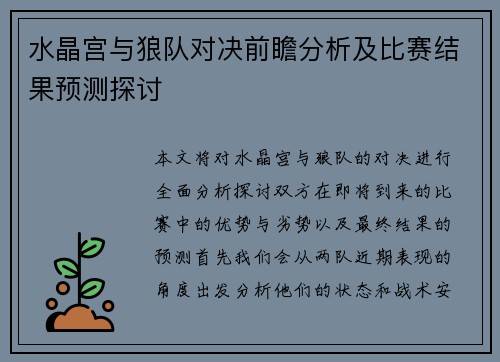水晶宫与狼队对决前瞻分析及比赛结果预测探讨